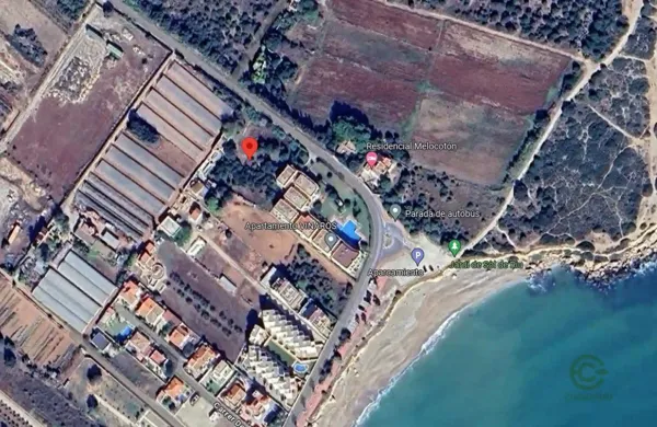 Spot image