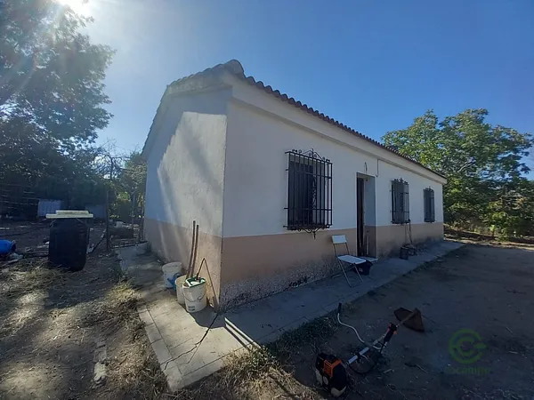 Spot image