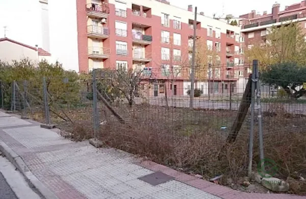 Spot image