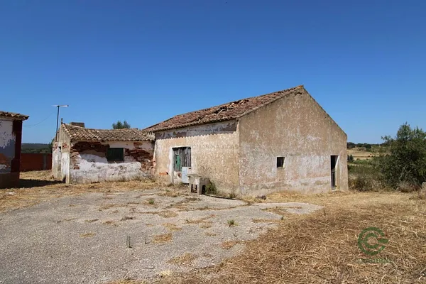 Spot image