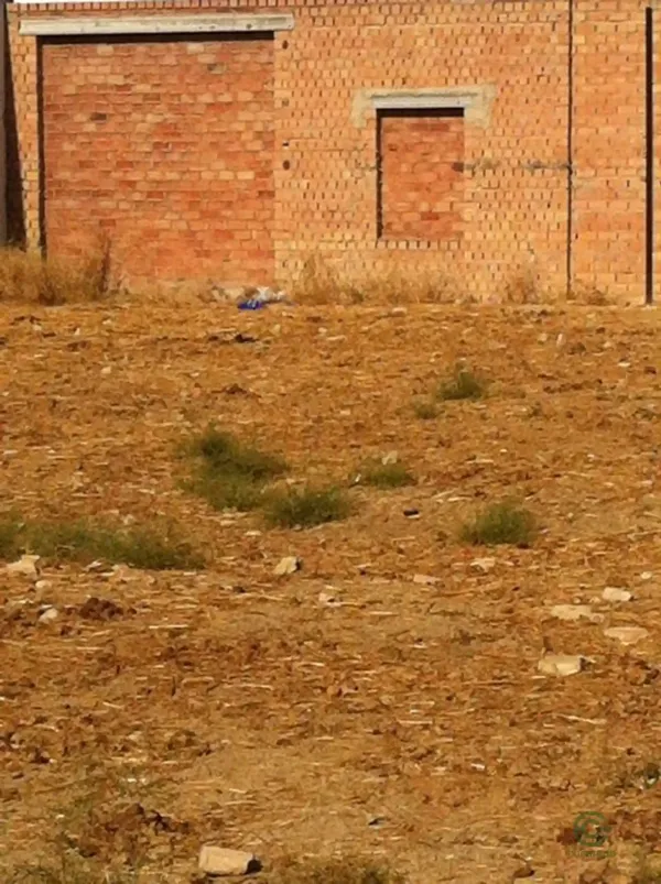 Spot image