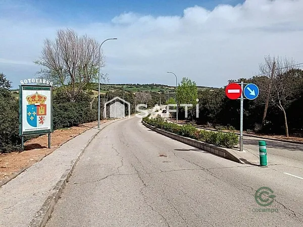 Spot image