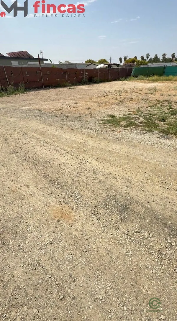 Spot image