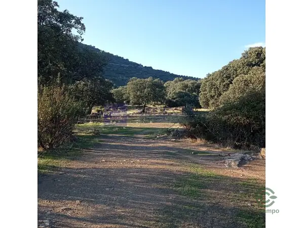 Spot image
