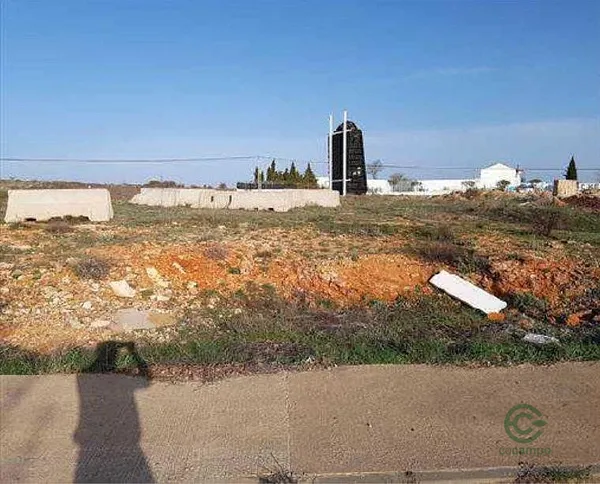 Spot image