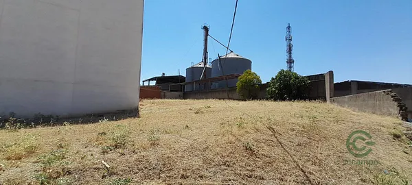 Spot image