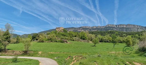 Spot image