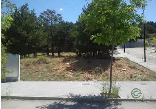 Spot image