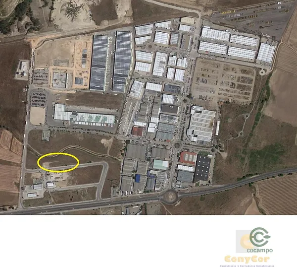 Spot image
