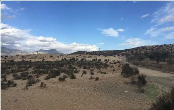 Spot image