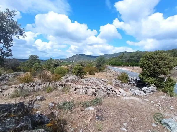 Spot image