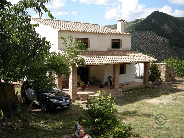 Spot image