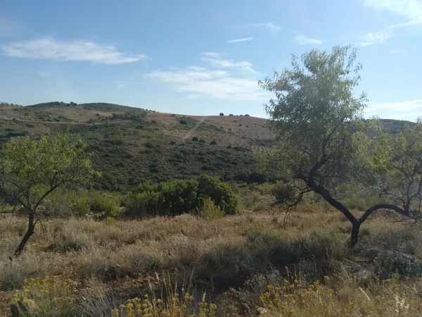 Spot image
