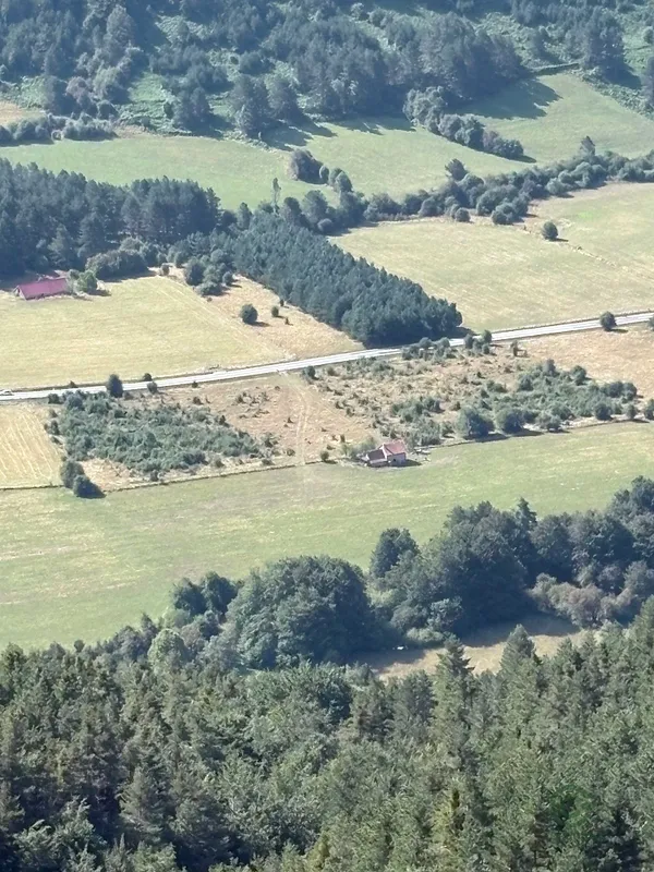 Spot image