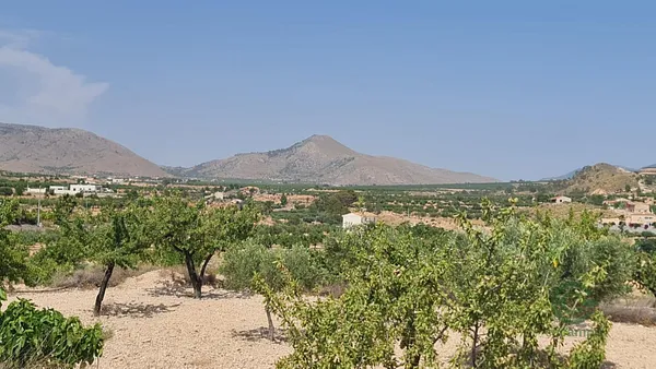 Spot image