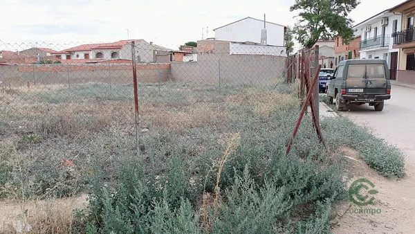 Spot image