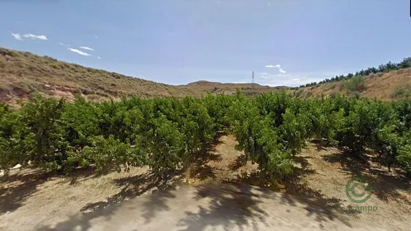 Spot image