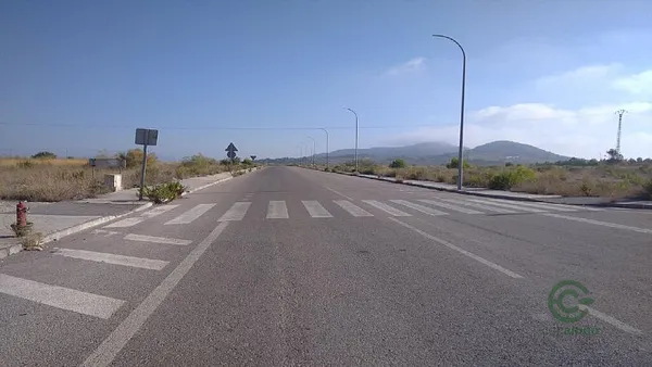 Spot image