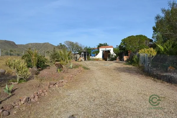 Spot image