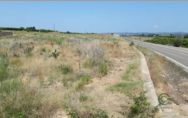 Spot image