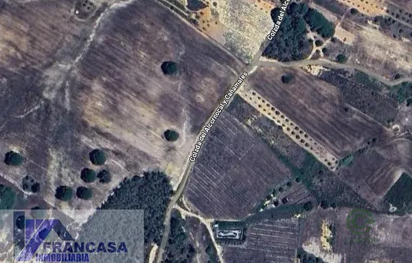 Spot image