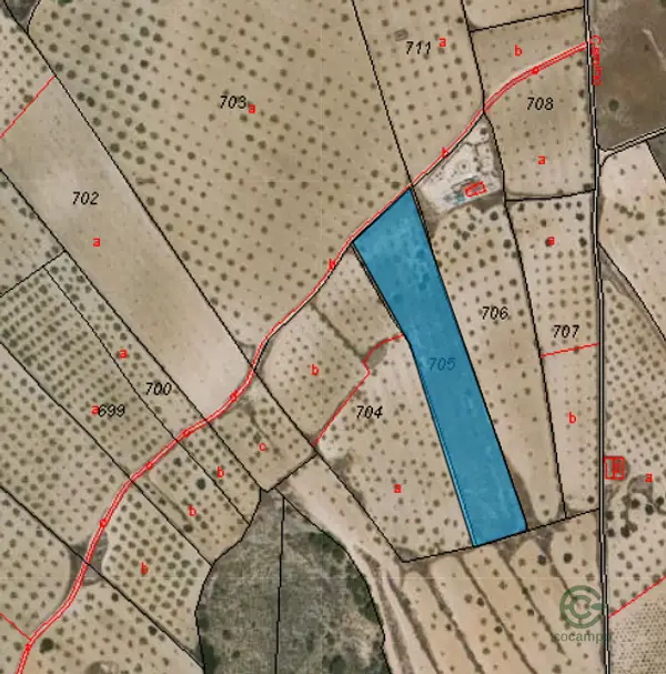 Spot image