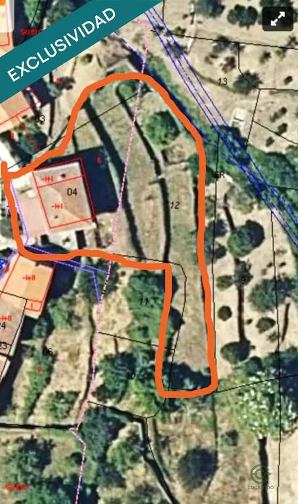 Spot image