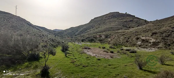 Spot image