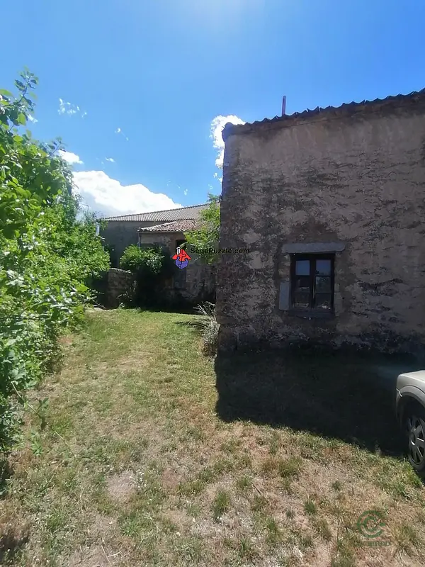 Spot image