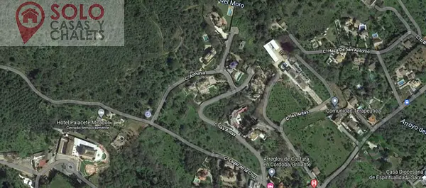 Spot image