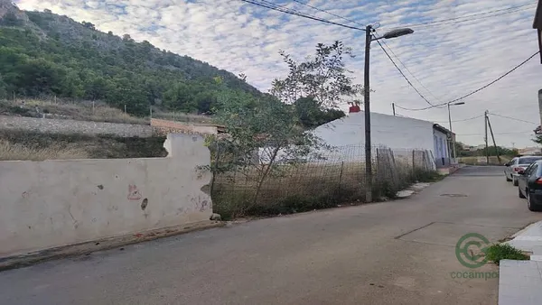 Spot image