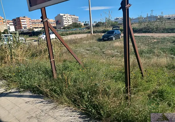 Spot image