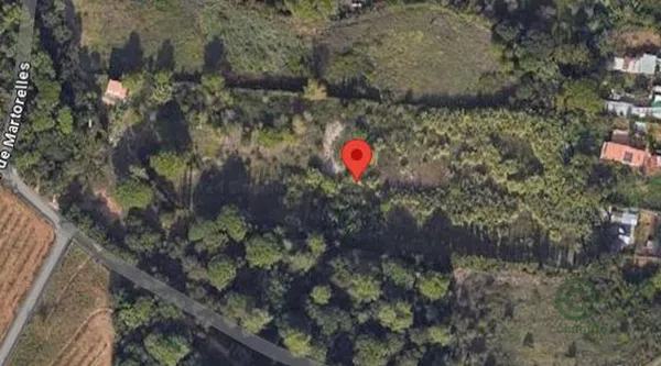 Spot image