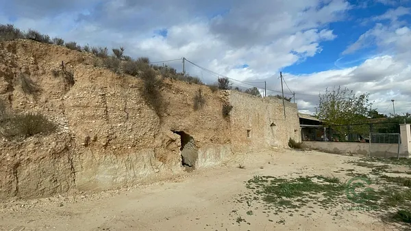 Spot image