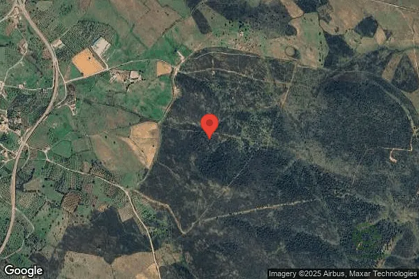 Spot image