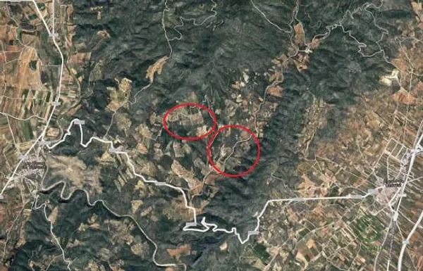 Spot image