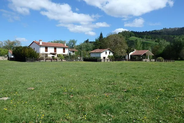 Spot image
