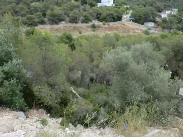 Spot image