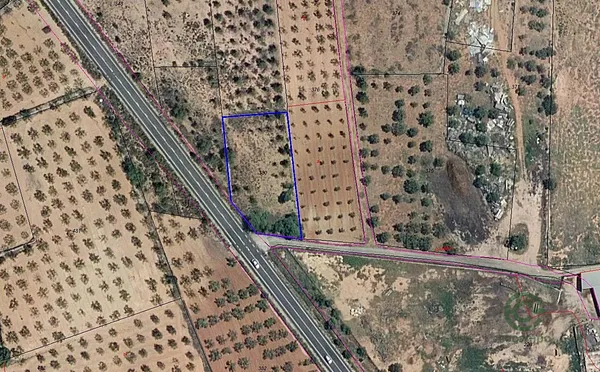 Spot image