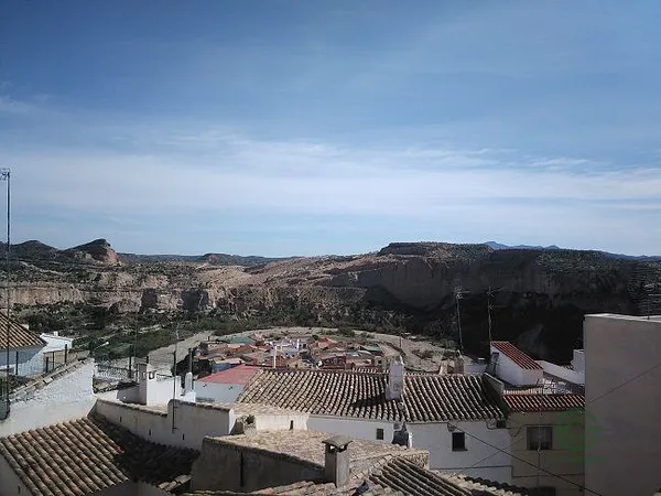Spot image