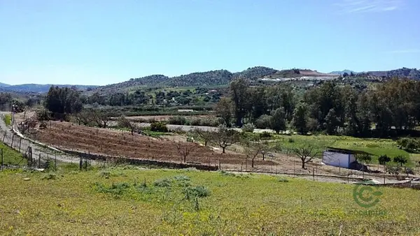 Spot image