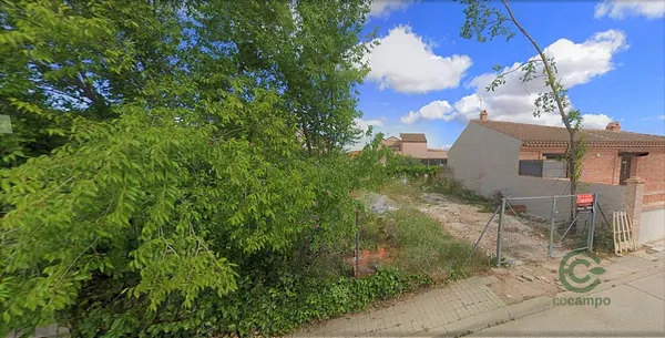 Spot image