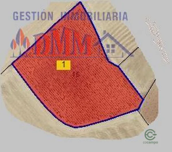 Spot image