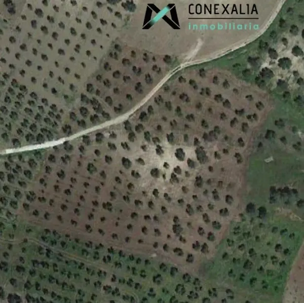 Spot image