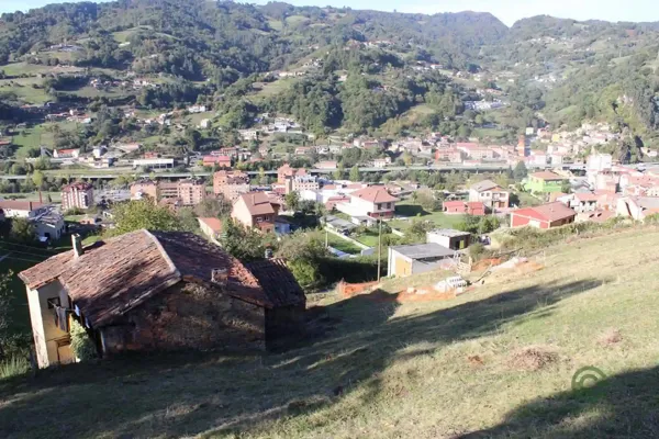Spot image