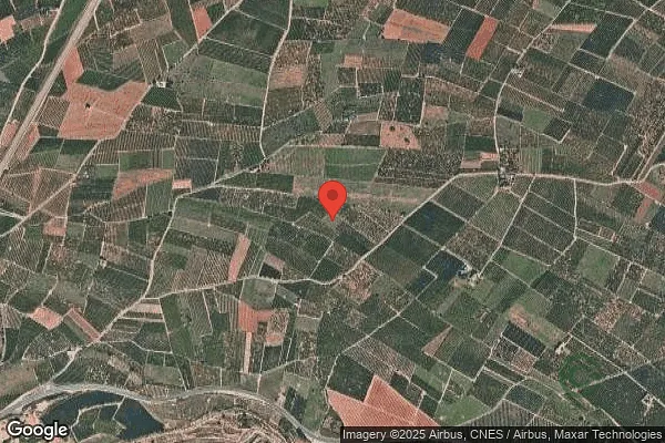 Spot image