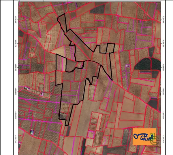Spot image