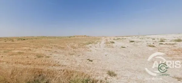 Spot image