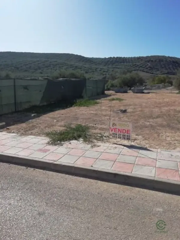 Spot image