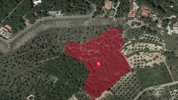 Spot image